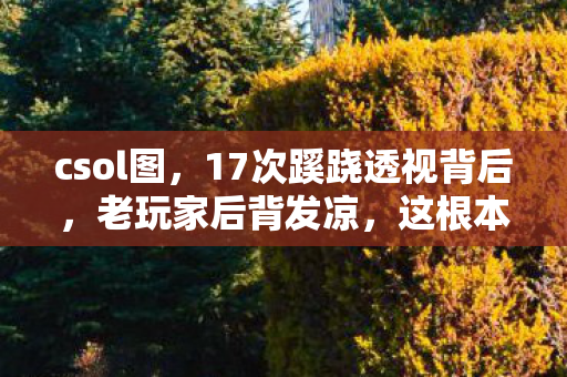 csol图,17次蹊跷透视背后,老玩家后背发凉,这根本不是游戏外挂! csol图,17次蹊跷透视背后,老玩家后背发凉,这根本不是游戏外挂!
