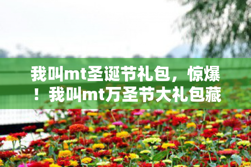 我叫mt圣诞节礼包，惊爆！我叫mt万圣节大礼包藏10+神秘彩蛋，玩家集体破防？