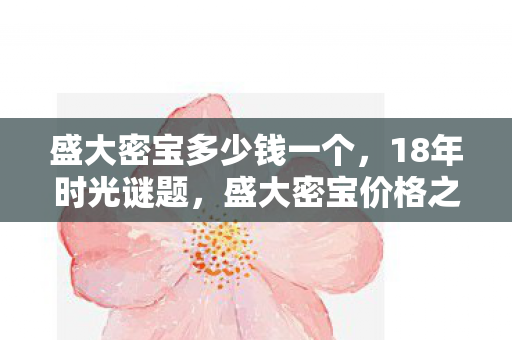 盛大密宝多少钱一个，18年时光谜题，盛大密宝价格之变，老玩家泪目瞬间