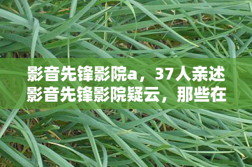 影音先锋影院a,37人亲述影音先锋影院疑云,那些在网吧绷不住的深夜秘密 影音先锋影院a,37人亲述影音先锋影院疑云,那些在网吧绷不住的深夜秘密