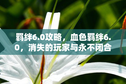 羁绊6.0攻略,血色羁绊6.0,消失的玩家与永不闭合的电子幽灵之眼 羁绊6.0攻略,血色羁绊6.0,消失的玩家与永不闭合的电子幽灵之眼