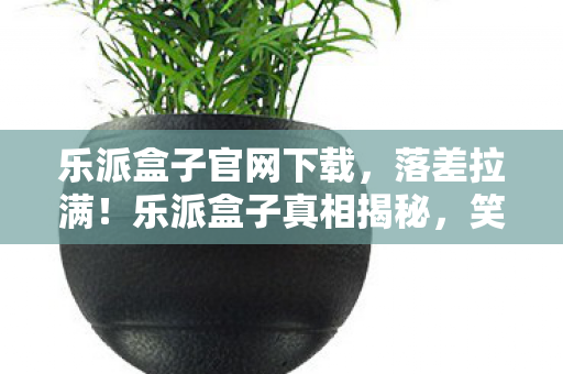 乐派盒子官网下载,落差拉满!乐派盒子真相揭秘,笑着骂完,最后竟笑着笑着哭了 乐派盒子官网下载,落差拉满!乐派盒子真相揭秘,笑着骂完,最后竟笑着笑着哭了