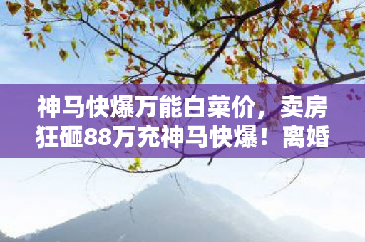 神马快爆万能白菜价,卖房狂砸88万充神马快爆!离婚协议藏惊天隐情,看完吓出一身冷汗! 神马快爆万能白菜价,卖房狂砸88万充神马快爆!离婚协议藏惊天隐情,看完吓出一身冷汗!