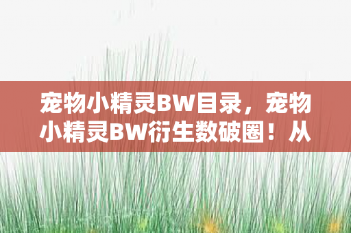 宠物小精灵BW目录,宠物小精灵BW衍生数破圈!从手办到棺材,这波消费意想不到! 宠物小精灵BW目录,宠物小精灵BW衍生数破圈!从手办到棺材,这波消费意想不到!