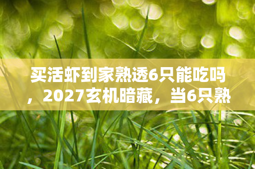 买活虾到家熟透6只能吃吗，2027玄机暗藏，当6只熟虾揭开游戏人生的沉默真相