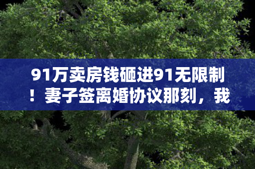 91万卖房钱砸进91无限制!妻子签离婚协议那刻,我腿软了! 91万卖房钱砸进91无限制!妻子签离婚协议那刻,我腿软了!