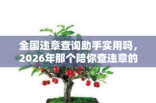 全国违章查询助手实用吗，2026年那个陪你查违章的TA，伏笔里藏着多少往事，如今想起鼻子一酸