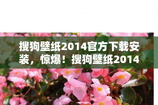 搜狗壁纸2014官方下载安装,惊爆!搜狗壁纸2014下载竟藏500万隐情,离职老兵吓一跳揭内幕! 搜狗壁纸2014官方下载安装,惊爆!搜狗壁纸2014下载竟藏500万隐情,离职老兵吓一跳揭内幕!