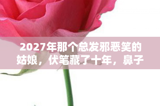 2027年那个总发邪恶笑的姑娘,伏笔藏了十年,鼻子一酸才读懂 2027年那个总发邪恶笑的姑娘,伏笔藏了十年,鼻子一酸才读懂