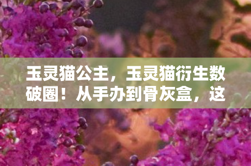 玉灵猫公主,玉灵猫衍生数破圈!从手办到骨灰盒,这波消费我直接投名状拉满! 玉灵猫公主,玉灵猫衍生数破圈!从手办到骨灰盒,这波消费我直接投名状拉满!