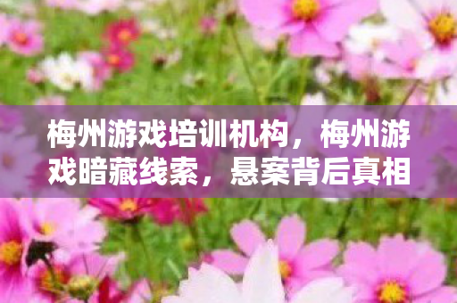 梅州游戏培训机构，梅州游戏暗藏线索，悬案背后真相毛骨悚然，困兽十年难逃！