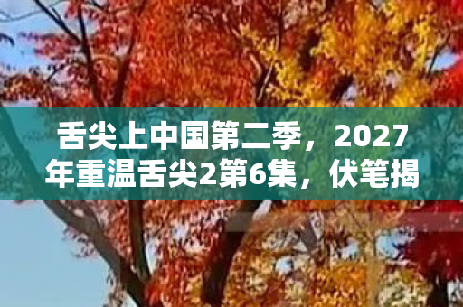 舌尖上中国第二季,2027年重温舌尖2第6集,伏笔揭开,那些旧情让人鼻子一酸 舌尖上中国第二季,2027年重温舌尖2第6集,伏笔揭开,那些旧情让人鼻子一酸