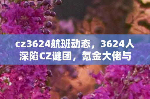 cz3624航班动态，3624人深陷CZ谜团，氪金大佬与零氪党集体破防！