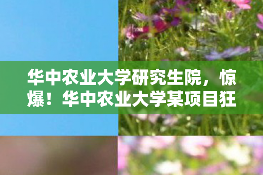 华中农业大学研究生院,惊爆!华中农业大学某项目狂砸500万,隐情曝光让人吓一跳! 华中农业大学研究生院,惊爆!华中农业大学某项目狂砸500万,隐情曝光让人吓一跳!