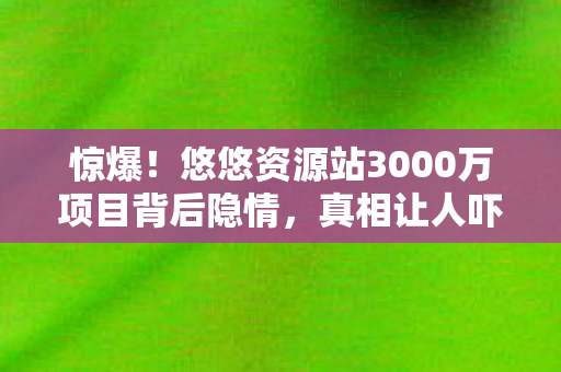 惊爆!悠悠资源站3000万项目背后隐情,真相让人吓一跳! 惊爆!悠悠资源站3000万项目背后隐情,真相让人吓一跳!