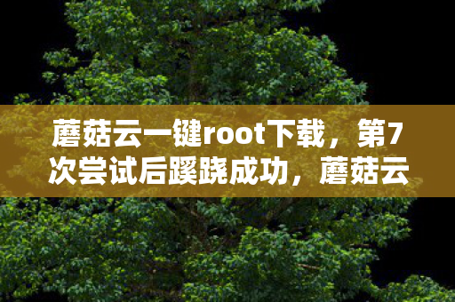 蘑菇云一键root下载,第7次尝试后蹊跷成功,蘑菇云一键root背后,真相让人后背发凉! 蘑菇云一键root下载,第7次尝试后蹊跷成功,蘑菇云一键root背后,真相让人后背发凉!