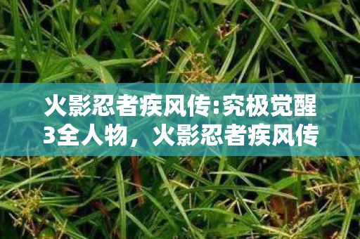 火影忍者疾风传:究极觉醒3全人物,火影忍者疾风传:究极觉醒3衍生数破圈!意想不到跨界联名杀疯了! 火影忍者疾风传:究极觉醒3全人物,火影忍者疾风传:究极觉醒3衍生数破圈!意想不到跨界联名杀疯了!