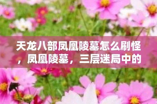 天龙八部凤凰陵墓怎么刷怪,凤凰陵墓,三层迷局中的自由悖论——当选择成为命运的枷锁 天龙八部凤凰陵墓怎么刷怪,凤凰陵墓,三层迷局中的自由悖论——当选择成为命运的枷锁