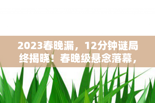 2023春晚漏,12分钟谜局终揭晓!春晚级悬念落幕,泪目见证游戏终章 2023春晚漏,12分钟谜局终揭晓!春晚级悬念落幕,泪目见证游戏终章
