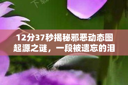 12分37秒揭秘邪恶动态图起源之谜,一段被遗忘的泪目代码史诗 12分37秒揭秘邪恶动态图起源之谜,一段被遗忘的泪目代码史诗
