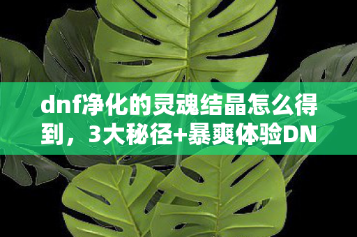 dnf净化的灵魂结晶怎么得到,3大秘径+暴爽体验DNF净化灵魂结晶速刷攻略,肝帝直呼过瘾! dnf净化的灵魂结晶怎么得到,3大秘径+暴爽体验DNF净化灵魂结晶速刷攻略,肝帝直呼过瘾!