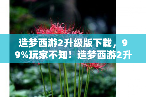 造梦西游2升级版下载，99%玩家不知！造梦西游2升级版竟藏着这3个颠覆认知的真相！