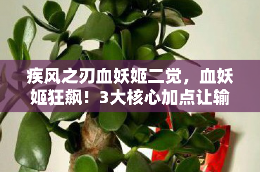 疾风之刃血妖姬二觉,血妖姬狂飙!3大核心加点让输出炸裂,亲测伤害飙升300%! 疾风之刃血妖姬二觉,血妖姬狂飙!3大核心加点让输出炸裂,亲测伤害飙升300%!