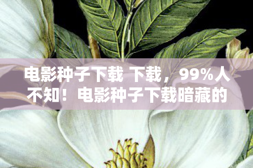 电影种子下载 下载,99%人不知!电影种子下载暗藏的3大数值陷阱,策划绝不敢说的真相 电影种子下载 下载,99%人不知!电影种子下载暗藏的3大数值陷阱,策划绝不敢说的真相