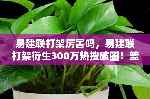 易建联打架厉害吗,易建联打架衍生300万热搜破圈!篮球IP竟成音乐综艺时尚新宠? 易建联打架厉害吗,易建联打架衍生300万热搜破圈!篮球IP竟成音乐综艺时尚新宠?