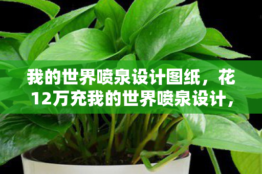 我的世界喷泉设计图纸,花12万充我的世界喷泉设计,老婆怒签离婚协议,这代价吓我一跳! 我的世界喷泉设计图纸,花12万充我的世界喷泉设计,老婆怒签离婚协议,这代价吓我一跳!