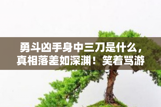 勇斗凶手身中三刀是什么,真相落差如深渊!笑着骂游戏烂,笑着笑着却哭了,他勇斗凶手身中三刀 勇斗凶手身中三刀是什么,真相落差如深渊!笑着骂游戏烂,笑着笑着却哭了,他勇斗凶手身中三刀