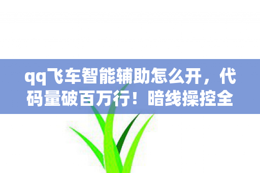 qq飞车智能辅助怎么开,代码量破百万行!暗线操控全局,这辅助让对手头皮发麻 qq飞车智能辅助怎么开,代码量破百万行!暗线操控全局,这辅助让对手头皮发麻