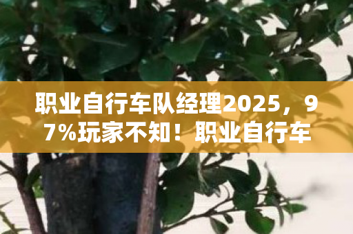 职业自行车队经理2025,97%玩家不知!职业自行车队经理2013多端实测,手机端竟比主机快3秒? 职业自行车队经理2025,97%玩家不知!职业自行车队经理2013多端实测,手机端竟比主机快3秒?