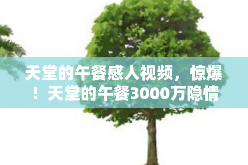 天堂的午餐感人视频,惊爆!天堂的午餐3000万隐情曝光,背后真相让人吓一跳! 天堂的午餐感人视频,惊爆!天堂的午餐3000万隐情曝光,背后真相让人吓一跳!