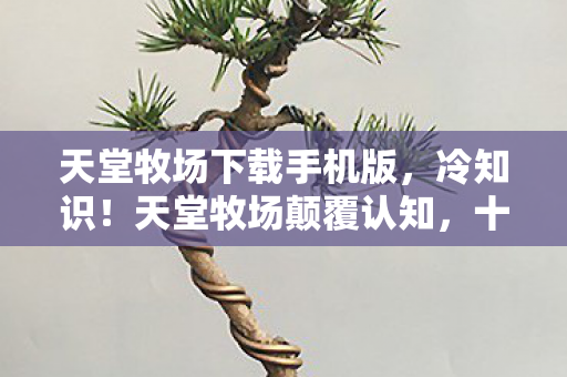 天堂牧场下载手机版,冷知识!天堂牧场颠覆认知,十年玩家竟被这游戏目瞪口呆了! 天堂牧场下载手机版,冷知识!天堂牧场颠覆认知,十年玩家竟被这游戏目瞪口呆了!