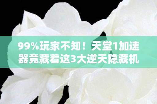 99%玩家不知！天堂1加速器竟藏着这3大逆天隐藏机制？