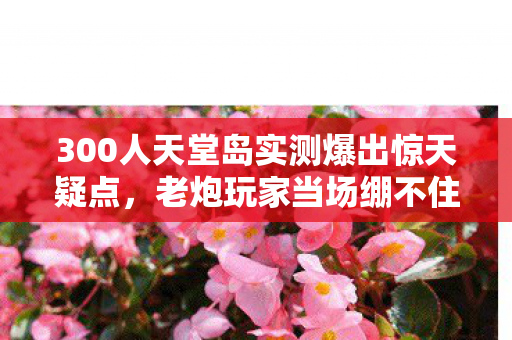 300人天堂岛实测爆出惊天疑点，老炮玩家当场绷不住笑出声！