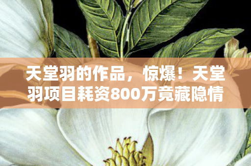 天堂羽的作品,惊爆!天堂羽项目耗资800万竟藏隐情,结果让人吓一跳! 天堂羽的作品,惊爆!天堂羽项目耗资800万竟藏隐情,结果让人吓一跳!
