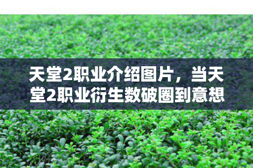天堂2职业介绍图片,当天堂2职业衍生数破圈到意想不到的领域,败家玩家已疯魔! 天堂2职业介绍图片,当天堂2职业衍生数破圈到意想不到的领域,败家玩家已疯魔!