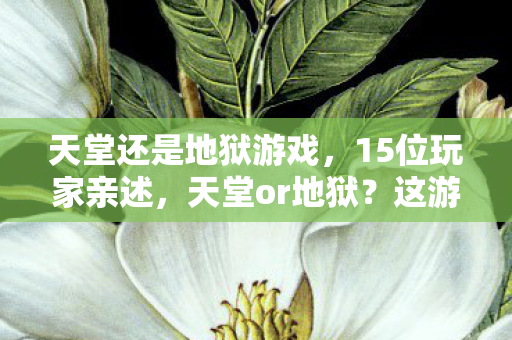 天堂还是地狱游戏,15位玩家亲述,天堂or地狱?这游戏疑点重重,采访者当场绷不住! 天堂还是地狱游戏,15位玩家亲述,天堂or地狱?这游戏疑点重重,采访者当场绷不住!