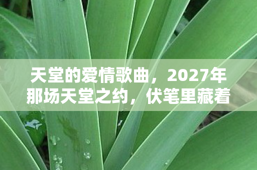 天堂的爱情歌曲,2027年那场天堂之约,伏笔里藏着谁的名字,读到此处鼻子一酸 天堂的爱情歌曲,2027年那场天堂之约,伏笔里藏着谁的名字,读到此处鼻子一酸