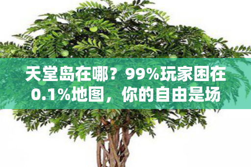 天堂岛在哪?99%玩家困在0.1%地图,你的自由是场精心设计的囚笼 天堂岛在哪?99%玩家困在0.1%地图,你的自由是场精心设计的囚笼