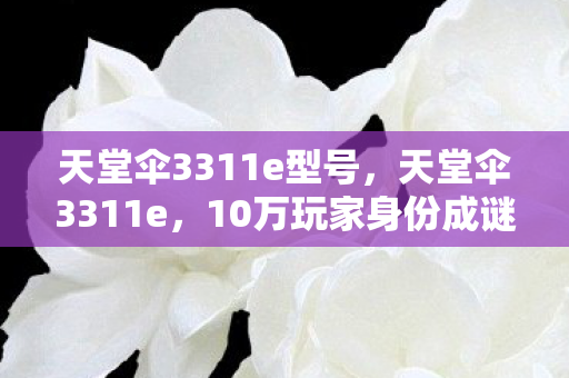 天堂伞3311e型号，天堂伞3311e，10万玩家身份成谜，游戏世界的心酸谁懂？
