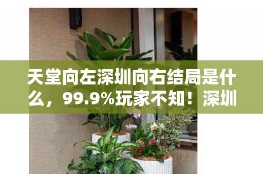 天堂向左深圳向右结局是什么，99.9%玩家不知！深圳结局暗藏3大数值杀局，策划这手太狠