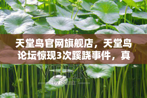天堂鸟官网旗舰店,天堂鸟论坛惊现3次蹊跷事件,真相揭晓让人后背发凉! 天堂鸟官网旗舰店,天堂鸟论坛惊现3次蹊跷事件,真相揭晓让人后背发凉!