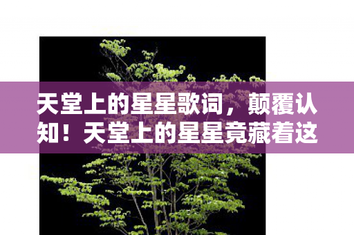 天堂上的星星歌词,颠覆认知!天堂上的星星竟藏着这反常识冷知识,让人目瞪口呆! 天堂上的星星歌词,颠覆认知!天堂上的星星竟藏着这反常识冷知识,让人目瞪口呆!
