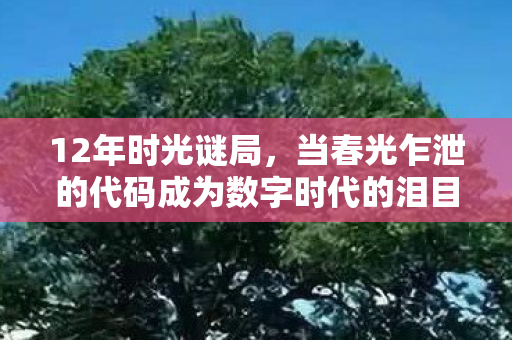 12年时光谜局，当春光乍泄的代码成为数字时代的泪目遗书