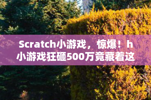 Scratch小游戏，惊爆！h小游戏狂砸500万竟藏着这隐情，结果让人吓一跳！