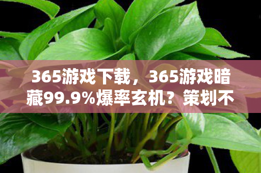 365游戏下载，365游戏暗藏99.9%爆率玄机？策划不敢说的数值黑幕大起底！