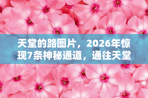 天堂的路图片,2026年惊现7条神秘通道,通往天堂的路竟藏在这? 天堂的路图片,2026年惊现7条神秘通道,通往天堂的路竟藏在这?